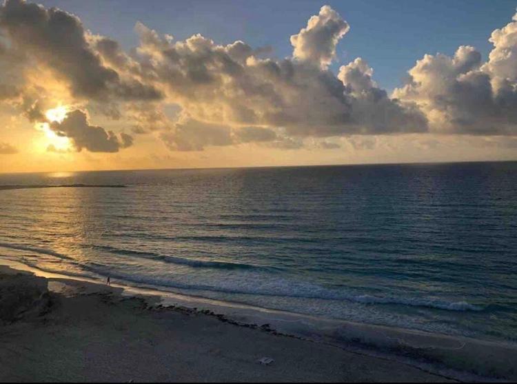 Studio Oceanfront Prime Location Cancún Exteriör bild